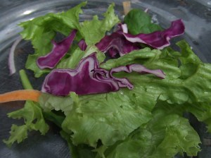 Salad (the dal is awesome, though)