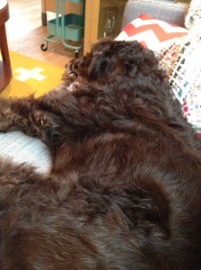 And making herself right at home