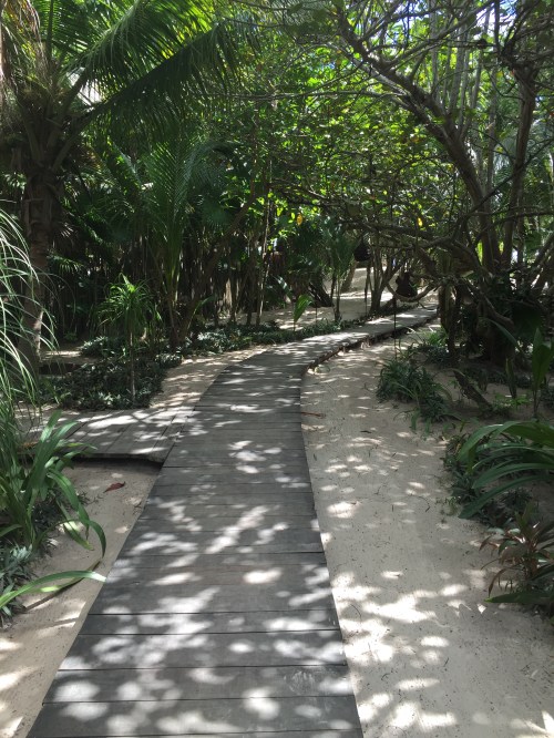 A path to a beach club